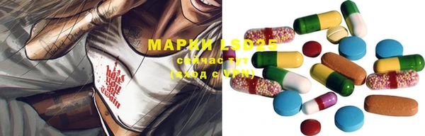 герыч Новодвинск
