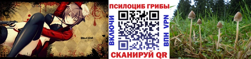 Псилоцибиновые грибы Magic Shrooms  сколько стоит  Палласовка 